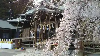 常陸第三宮　吉田神社の本殿・本堂