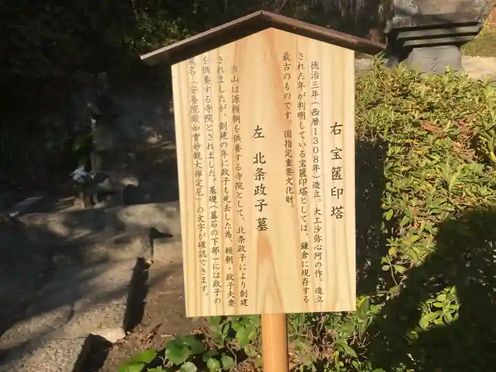 安養院 (田代寺)(神奈川県)