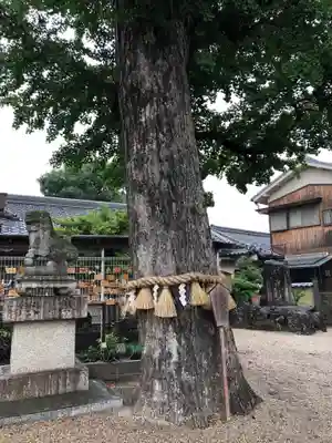 市杵島姫神社のその他建物