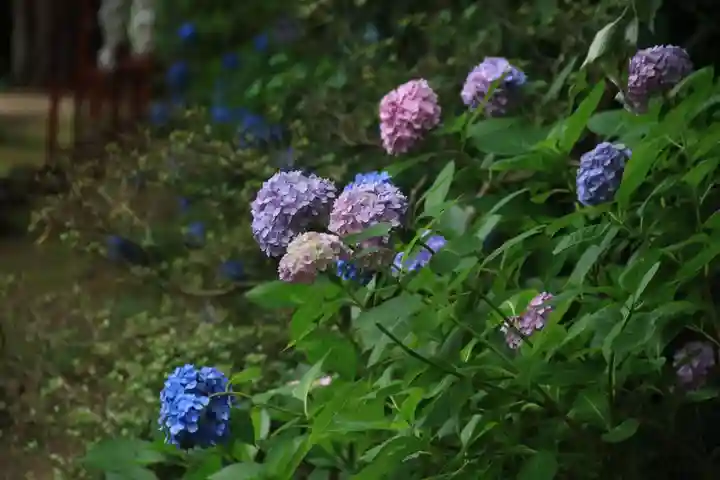 三春大神宮の庭園
