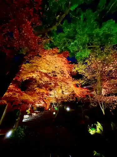 宝満宮竈門神社の自然