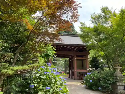 大宝八幡宮(茨城県)