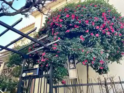 長善寺 妙足院(東京都)