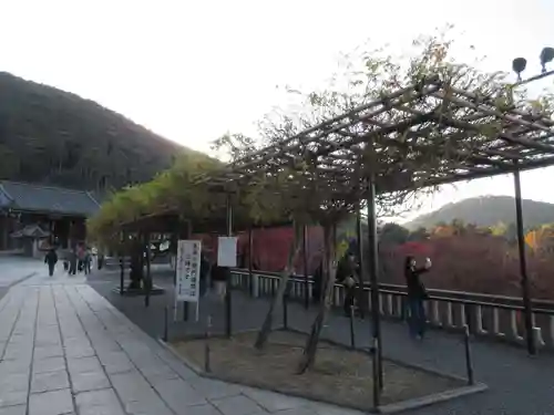 清水寺(京都府)