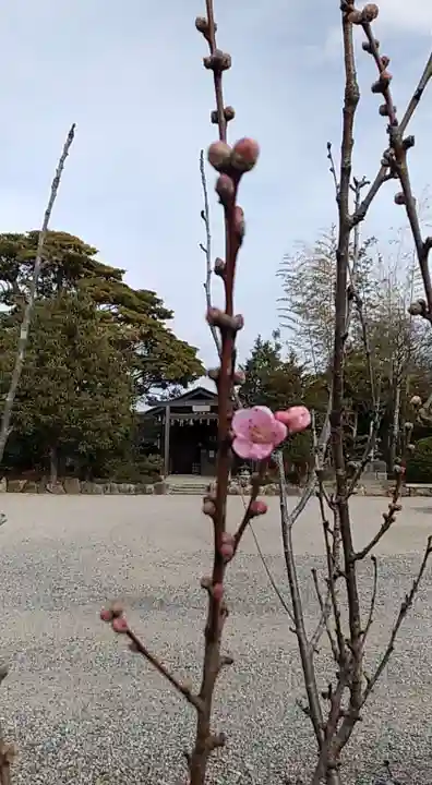 比佐豆知神社(三重県)