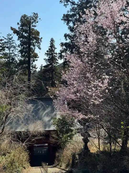 太平山神社の{uncategorized: "未分類", other: "その他", undefined: "問題あり", building: "その他建物", grave: "お墓", sacred_gate: "鳥居", guardian: "狛犬", statue: "像", buddha: "仏像", history: "歴史", nature: "自然", garden: "庭園", animal: "動物", pagoda: "塔", temizu: "手水舎", mountain_gate: "山門・神門", sanctuary: "本殿・本堂", subordinate: "末社・摂社", art: "芸術", scenery: "景色", jizo: "地蔵", ema: "絵馬", goshuin: "御朱印", omikuji: "おみくじ", items: "授与品その他", amulet: "お守り", goshuincho: "御朱印帳", eats: "食事", festival: "お祭り", votive_dance: "神楽", shichigosan: "七五三参", wedding: "結婚式", experience: "体験その他", initially: "初詣", around: "周辺", anti_infection: "感染症対策"}