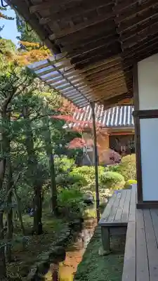 隨心院(随心院)(京都府)