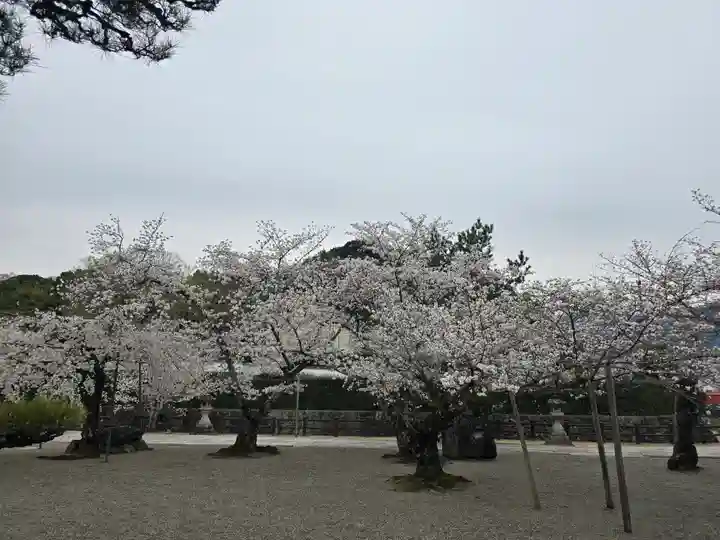 御池坊(粉河寺本坊)(和歌山県)