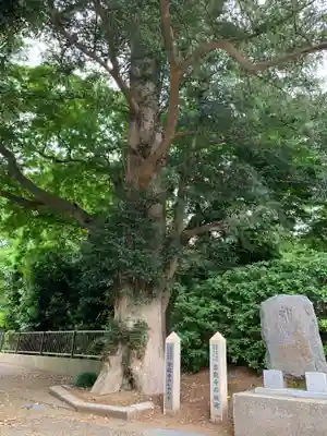 宗龍寺(千葉県)