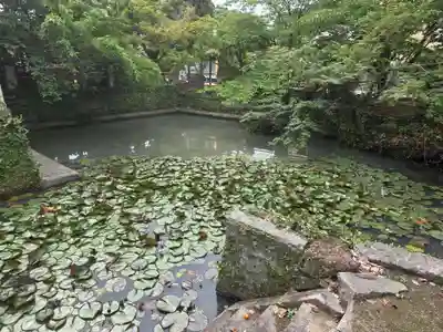 牛嶋天満宮(佐賀県)