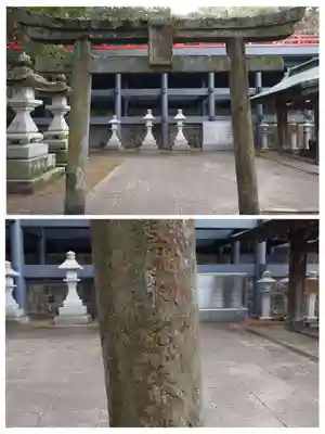 八幡朝見神社の鳥居