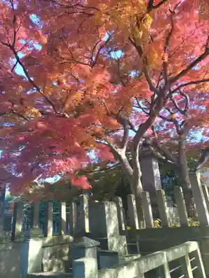 阿弥陀寺(福島県)