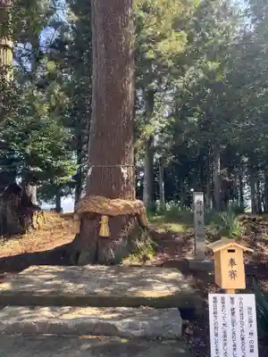 徳佐八幡宮(山口県)