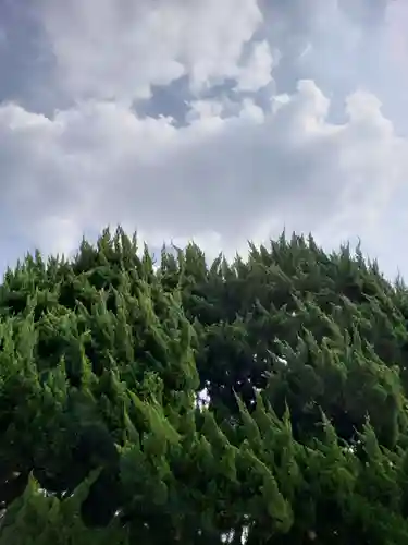 西方寺(東京都)