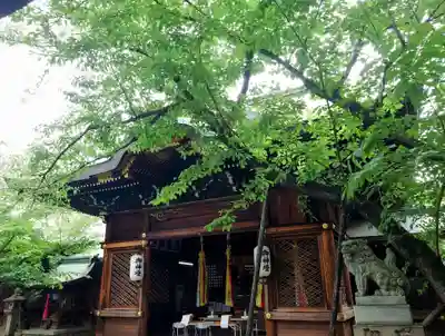 天孫神社(滋賀県)