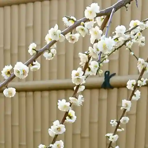 寿量山　速成寺の自然