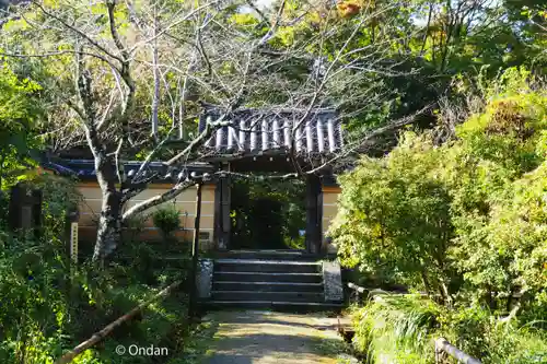 浄瑠璃寺(京都府)