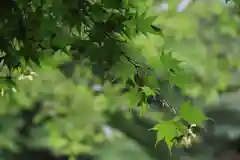 磐椅神社の自然