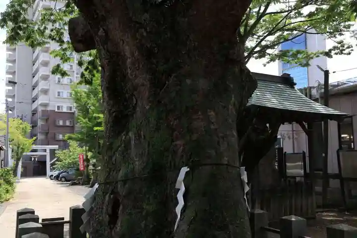 阿邪訶根神社の自然