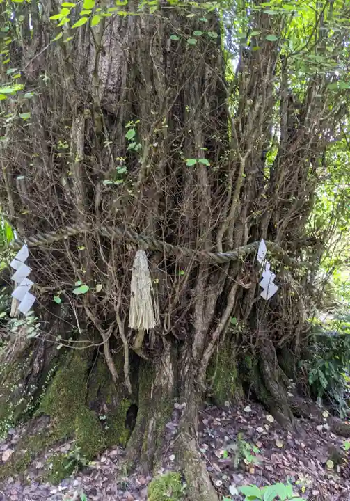 貴船神社結社の自然