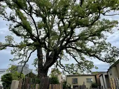 大雄寺(東京都)