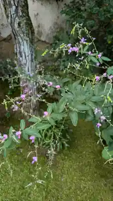 尊陽院(京都府)