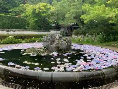 久安寺(大阪府)