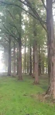 日枝神社の自然