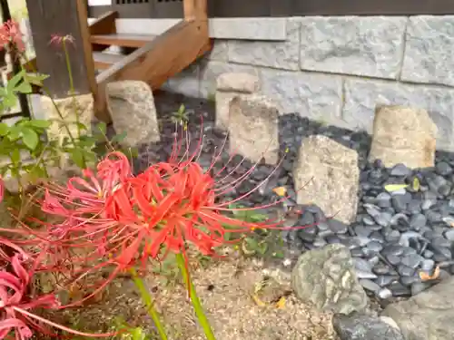 粟嶋堂宗徳寺の自然