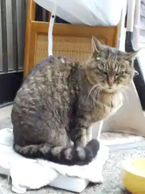 浄願寺(石川県)