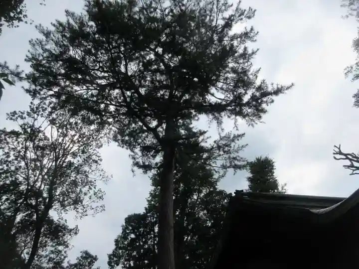 熊野神社(東京都)