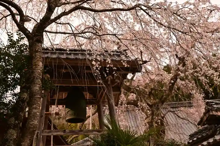 法蓮寺(愛媛県)