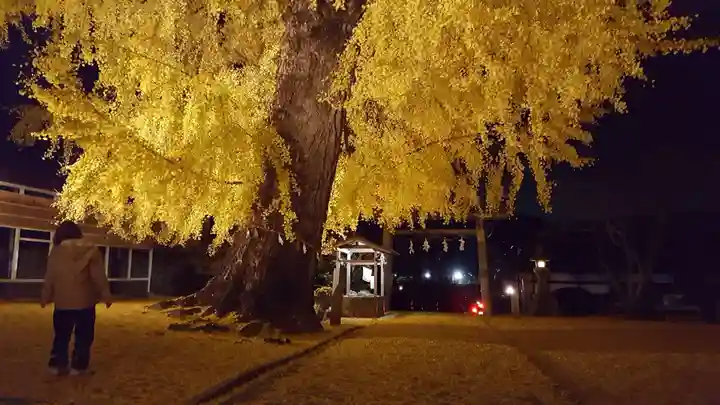 丹生酒殿神社の自然