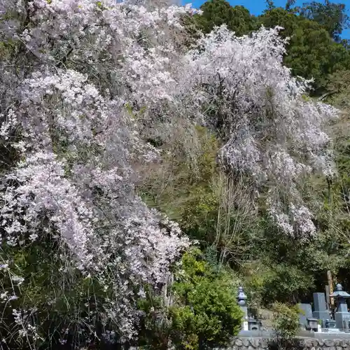 日蓮宗 総本山 塔頭 定林坊(じょうりんぼう)(山梨県)