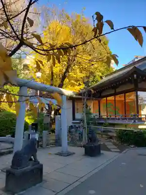 鳩森八幡神社の鳥居