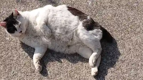 唐澤山神社の動物