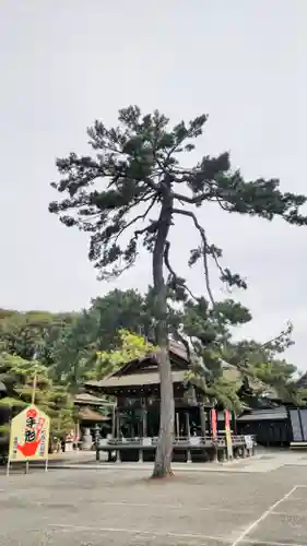 長浜八幡宮(滋賀県)