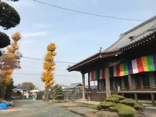 明願寺の本殿