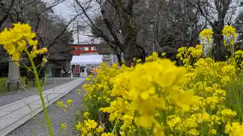 平野神社(京都府)