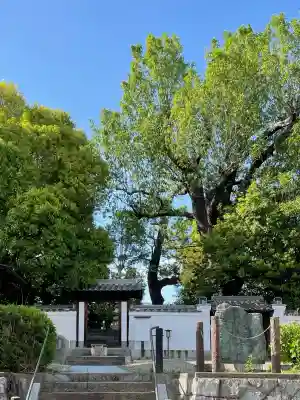大納言塚(奈良県)