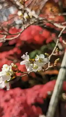 赤山禅院(京都府)
