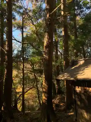 高龗神社(千葉県)