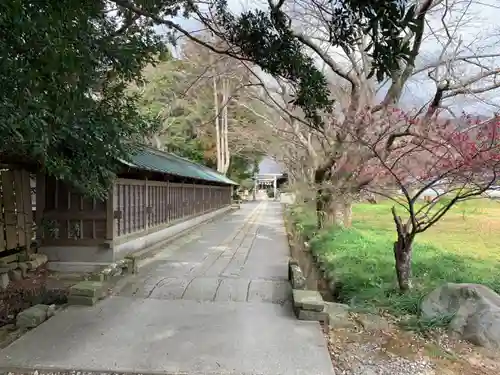 川津来宮神社のその他建物