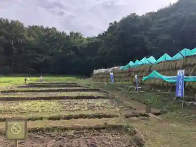 糀谷八幡宮の周辺