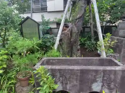 谷中 妙福寺(東京都)