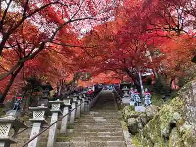 大山寺(神奈川県)