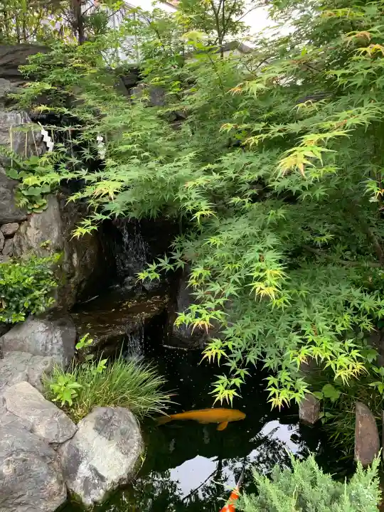 蛇窪神社の{uncategorized: "未分類", other: "その他", undefined: "問題あり", building: "その他建物", grave: "お墓", sacred_gate: "鳥居", guardian: "狛犬", statue: "像", buddha: "仏像", history: "歴史", nature: "自然", garden: "庭園", animal: "動物", pagoda: "塔", temizu: "手水舎", mountain_gate: "山門・神門", sanctuary: "本殿・本堂", subordinate: "末社・摂社", art: "芸術", scenery: "景色", jizo: "地蔵", ema: "絵馬", goshuin: "御朱印", omikuji: "おみくじ", items: "授与品その他", amulet: "お守り", goshuincho: "御朱印帳", eats: "食事", festival: "お祭り", votive_dance: "神楽", shichigosan: "七五三参", wedding: "結婚式", experience: "体験その他", initially: "初詣", around: "周辺", anti_infection: "感染症対策"}