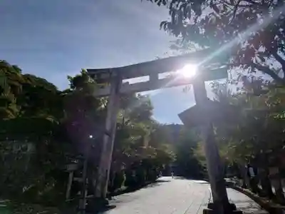 伊奈波神社(岐阜県)