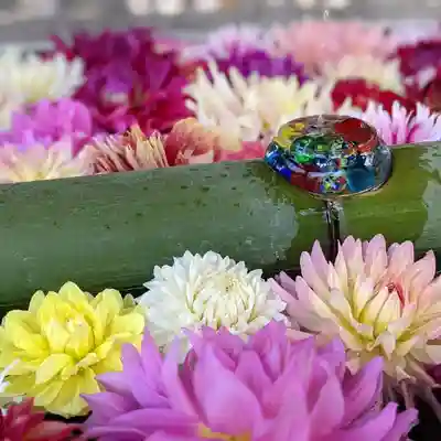 岡寺（龍蓋寺）の手水舎