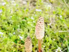 滑川神社 - 仕事と子どもの守り神の自然